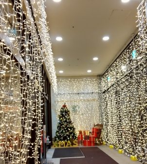 マルヤマクラス